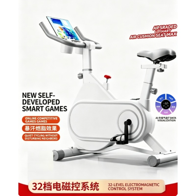 무소음 자기 저항 스피닝 바이크, 가정용 실내 운동 사 - Exercise Bike Magnetic Resistance 리뷰 및 가격