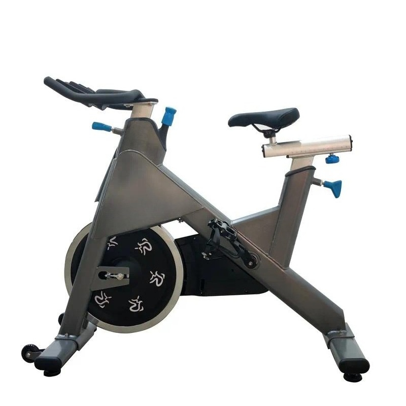 자기 저항 운동 자전거, 가정 및 상업용 유산소 운동을 - Exercise Bike Magnetic Resistance 리뷰 및 가격