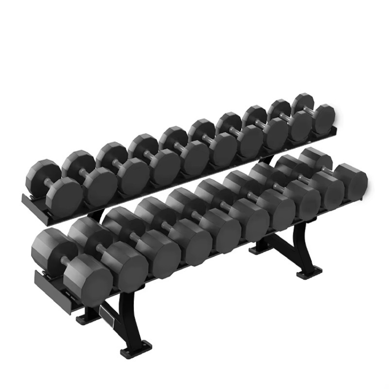 2단 10쌍 덤벨 보관 랙, 근력 운동 피트니스 장비, - Fitness Equipment 리뷰 및 가격